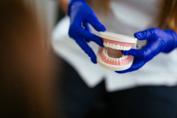 Scranton, PA Dental Services Pros